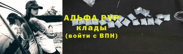 хмурый Нея