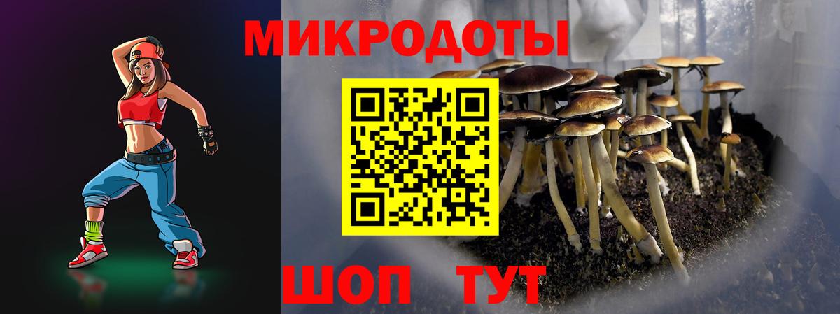 Псилоцибиновые грибы Psilocybine cubensis Карталы